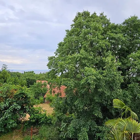 Carnevalus Apartment Rijeka